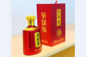 视频展示